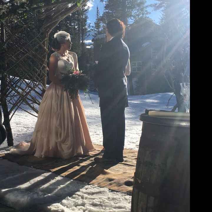 Birdcage veil with a ballgown? - 1