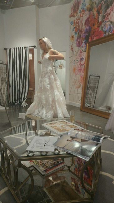Wedding Dress Shopping Frustrations? 2