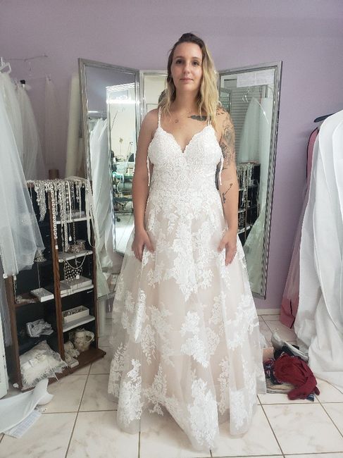 My Dress and Girat Alteration Appointment 3