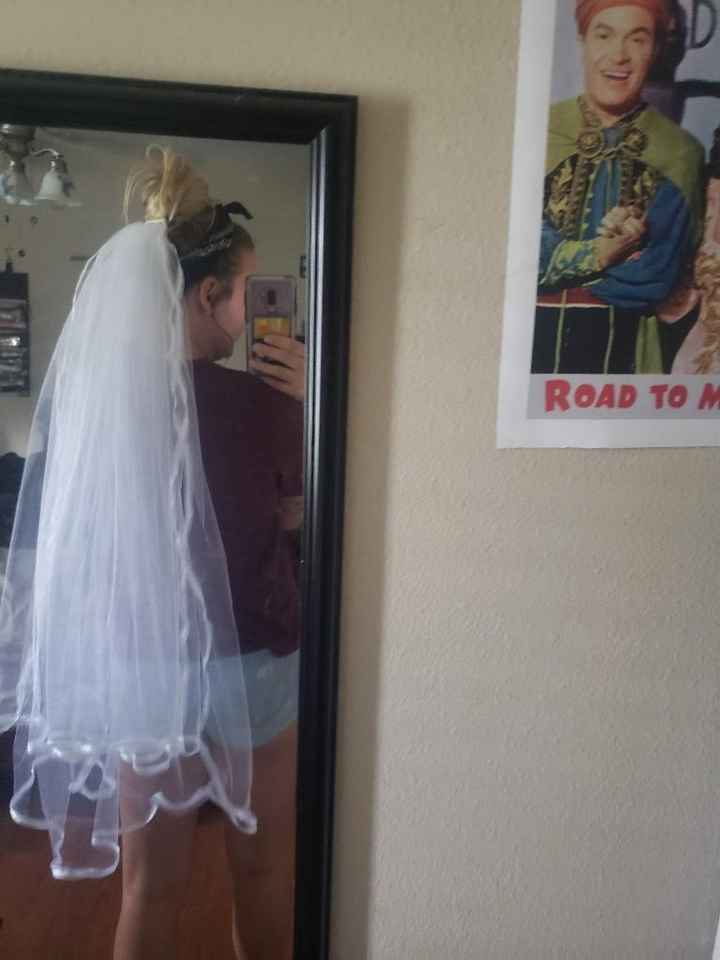 Veil (it needs ironing) 