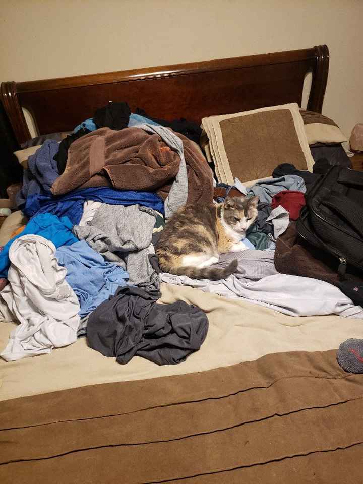 Destination wedding - bewares! - 5