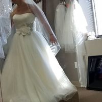 Wish veil! - 1