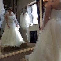 Wish veil! - 2