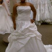 Think I Found My Dress **PIC**