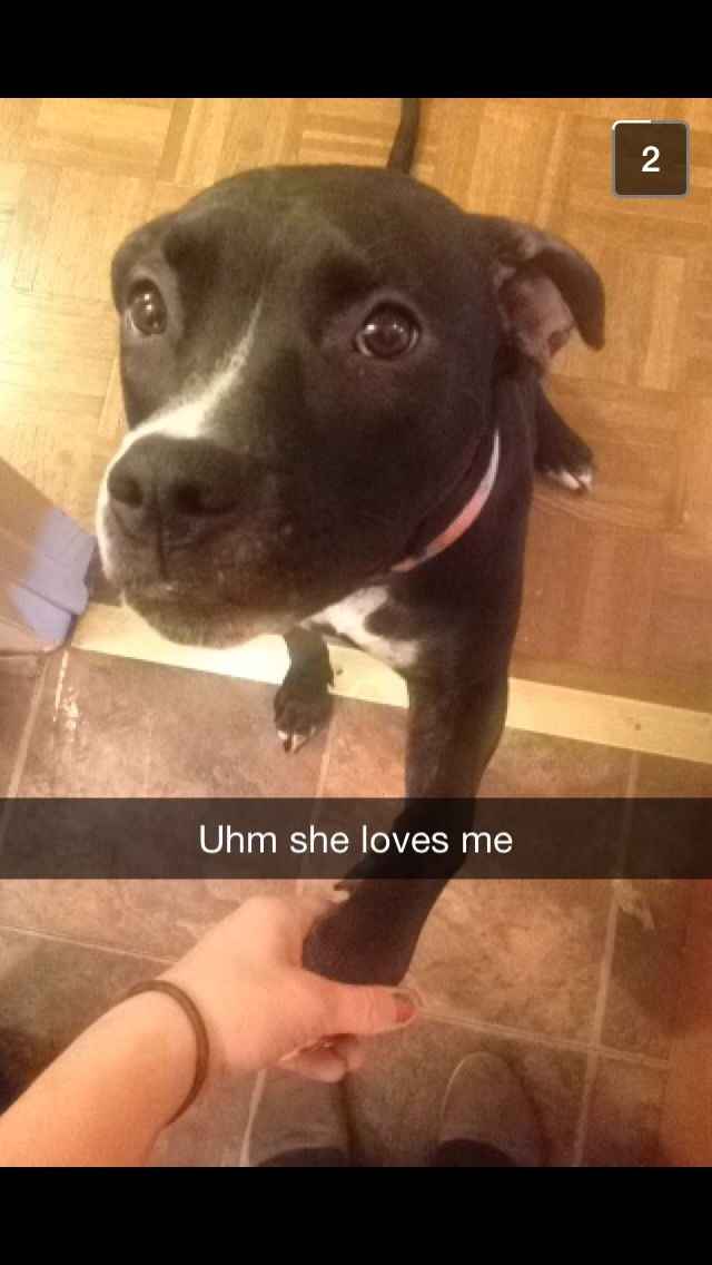 NWR lol people think my dogs are scary..