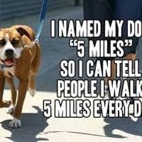 exercising brides....lets laugh (pics)