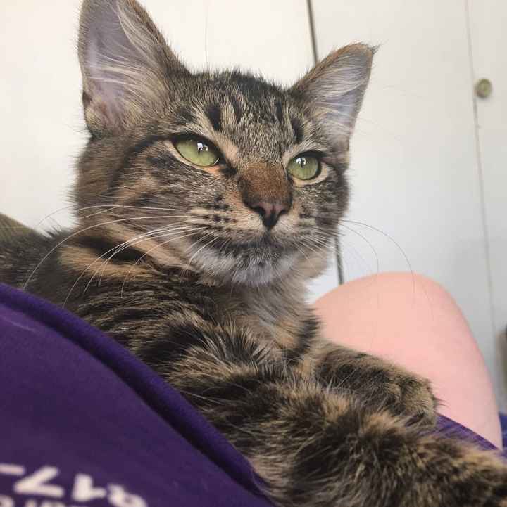 Nwr- show me your fur babies