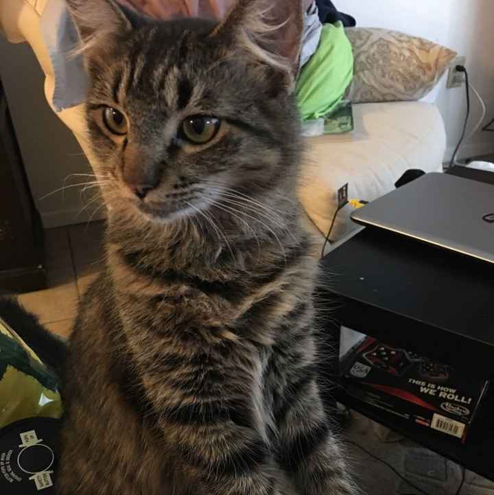 NWR: Today freaking sucks.