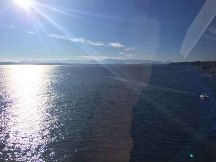 What is your color theme?