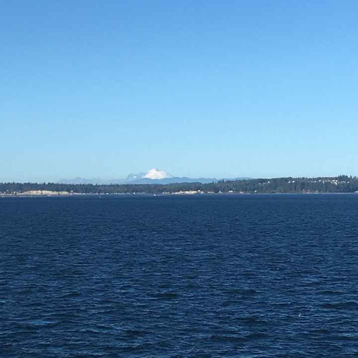 Wishing we planned a different wedding