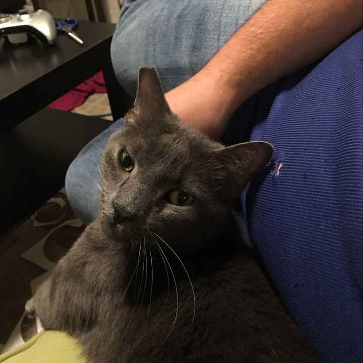 NWR: Show me your fur babies