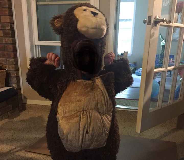 Centerpieces, Ring Bears, and Dress Alterations! - 1