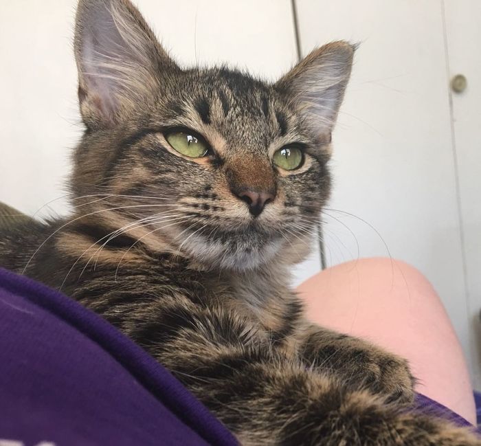 NWR-Cat People Help