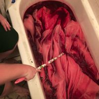 What in the Halloween Have i Done - 3