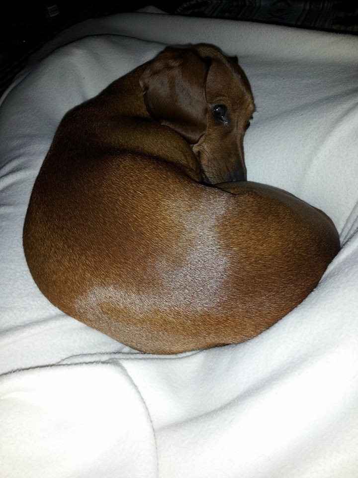 NWR Happy Fursday!!!