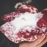 Show me the Ring!💍 - 1