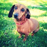 NWR Happy Fursday!!!