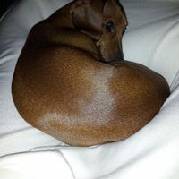 NWR Happy Fursday!!!