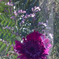 MARRIED!! Non pro pics