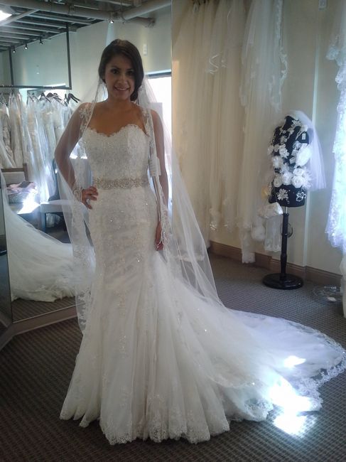 Finally found the DRESS! pics**!