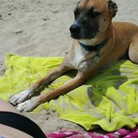 NWR:  Show me your fur babies!