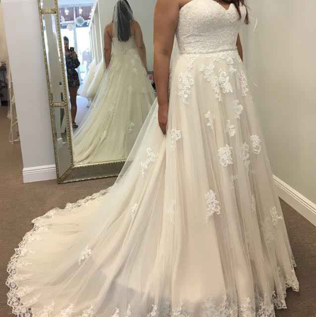 I need veil help!!