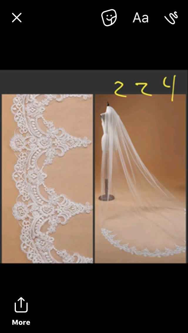 I need veil help!!