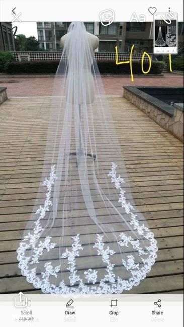 I need veil help!!