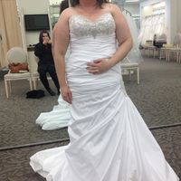 Petite brides show me your dress