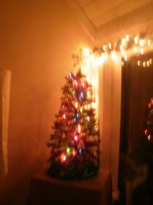 When are you and your fiancee putting up the Christmas tree?
