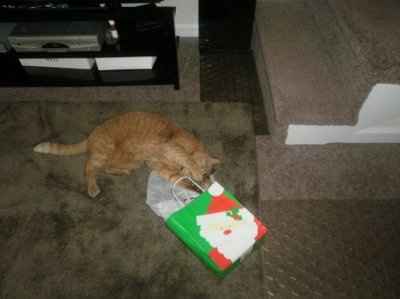 NWR: Share the holiday spirit :) Pictures of trees, your pets dressed up, DIY