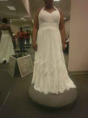 Considering David's Bridal?