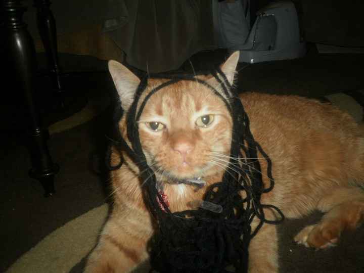 NWR- show me your pet!