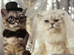 I'm having a cash bar, dollar dance, cash gift only, camo themed wedding in a park