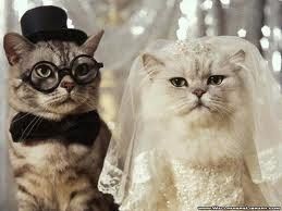 I'm having a cash bar, dollar dance, cash gift only, camo themed wedding in a park