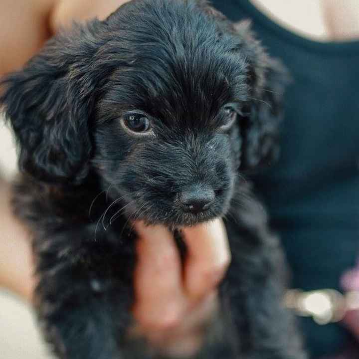 Poking my head back in to say hi!