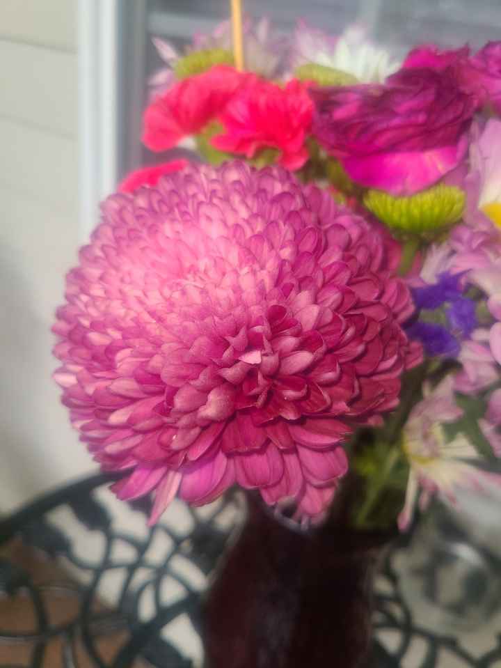 Can anyone help me identify these two flowers? - 1