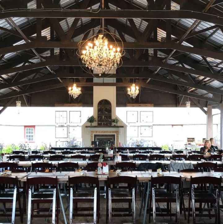 BAMITY BAM BAM (non pro)