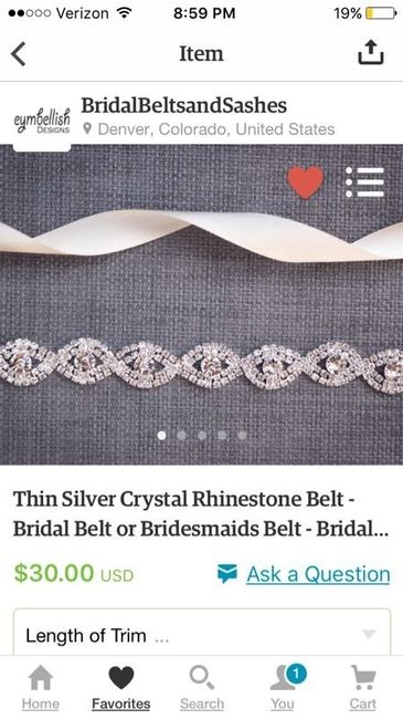 Splurge vs. Save (Wedding Sashes)