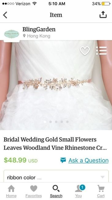 Splurge vs. Save (Wedding Sashes)