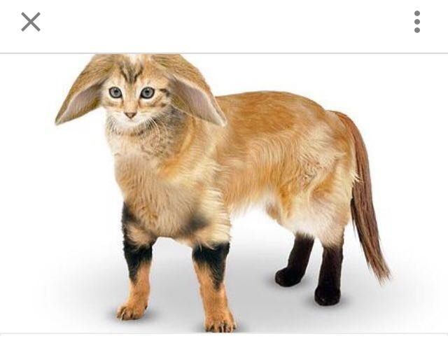 Save The Date ideas online?