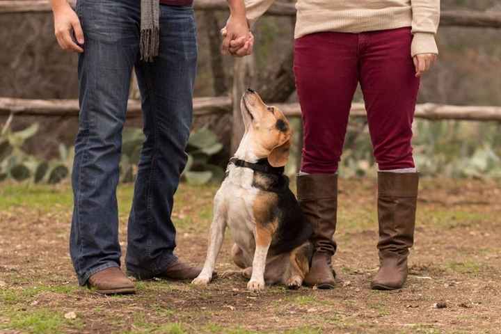 E-Pics Sneak Peek!...Update:More on pgs. 2 and 3!