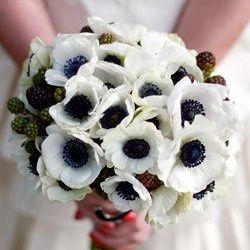 Need Help with flower arragements