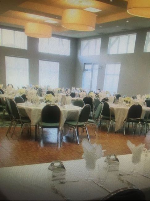 What do you think of these chairs?