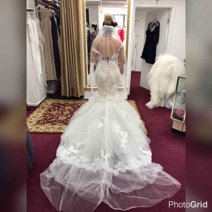 Its been awhile so I thought I'd ask