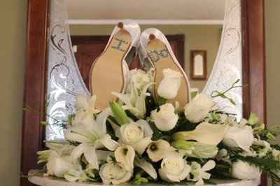 Exclusive peak at  the Pro pics...Pic very heavy