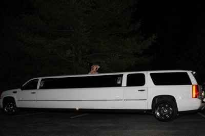 Exclusive peak at  the Pro pics...Pic very heavy