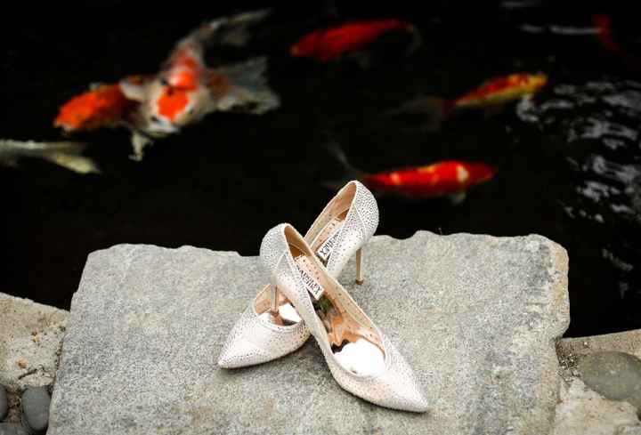 Wedding pictures - 11