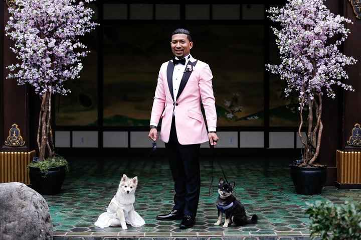 Wedding pictures - 12