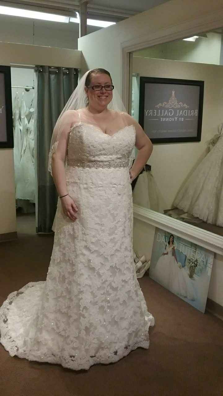 Plus Size Lace or Tulle Wedding Dresses -- show me yours?